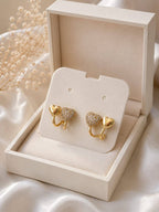 Delicate earrings